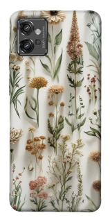 Чехол на Motorola Moto G32 Floral design ver.2 фото 1 из 1