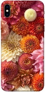 Чохол на Apple iPhone XS Max (6.5") Bouquet фото 1 з 1