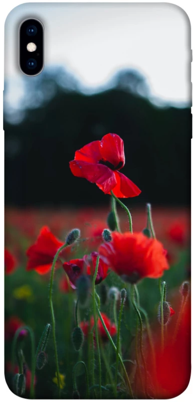 Чехол на Apple iPhone XS Max (6.5") Мак фото 1 из 1