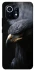 Чохол на Xiaomi Mi 11 black eagle фото 1 з 1