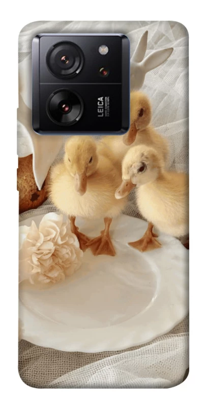 Чохол на Xiaomi 13T Easter Vibes фото 1 з 1