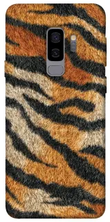 Чехол на Samsung Galaxy S9+ Tiger фото 1 из 1