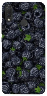 Чохол на Huawei P Smart+ (nova 3i) Fresh фото 1 з 1