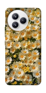 Чохол на Xiaomi Civi 5 Pro Camomile фото 1 з 1