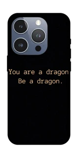 Чохол на Apple iPhone 16 Pro House of the Dragon ver.9 фото 1 з 1