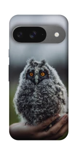 Чехол на Google Pixel 10 Совёнок фото 1 из 1