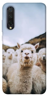 Чохол на Xiaomi Mi CC9 / Mi 9 Lite Лама фото 1 з 1