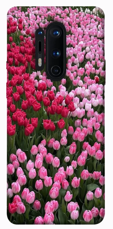 Чехол на OnePlus 8 Pro Flowers v9 фото 1 из 1