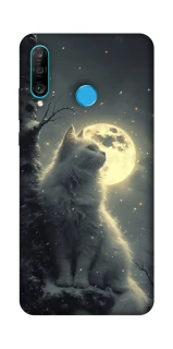 Чохол на Huawei P30 lite Кіт під місяцем фото 1 з 1
