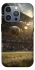 Чохол на Apple iPhone 16 Pro Max Football aesthetic ver.2 фото 1 з 1