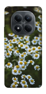 Чехол на Xiaomi Redmi Note 15 Pro 4G Ромашки v13 фото 1 из 1