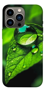 Чехол на Apple iPhone 13 Pro (6.1") Flowers v16 фото 1 из 1