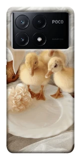 Чохол на Xiaomi Poco X6 Easter Vibes фото 1 з 1