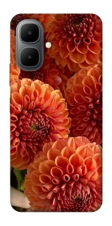 Чехол на Infinix Smart 10 Flower1 фото 1 из 1