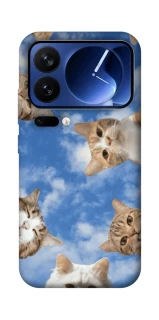 Чехол на Xiaomi 17 Pro Сats фото 1 из 1