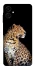 Чохол на Samsung Galaxy A06 Leopard v2 фото 1 з 1