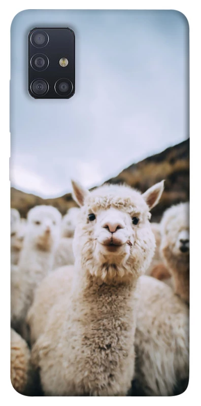 Чохол на Samsung Galaxy M51 Лама фото 1 з 1