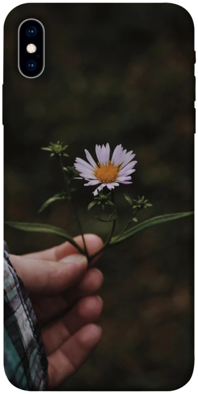 Чехол на Apple iPhone X (5.8") Ромашка v4 фото 1 из 1