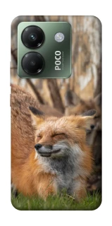 Чехол на Xiaomi Poco M7 pro 5G Лиса фото 1 из 1