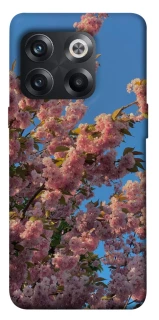 Чохол на OnePlus 10T Flowers v4 фото 1 з 1