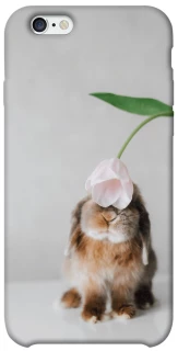Чохол на Apple iPhone 6/6s (4.7") Bunny фото 1 з 1