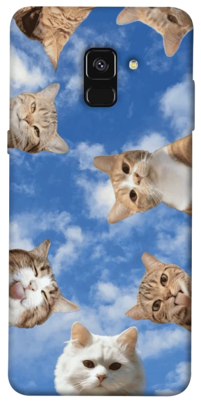Чохол на Samsung A530 Galaxy A8 (2018) Сats фото 1 з 1