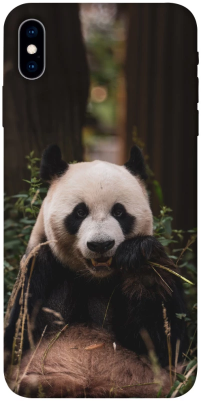 Чехол на Apple iPhone X (5.8") Панда фото 1 из 1