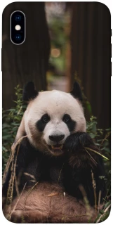 Чехол на Apple iPhone X (5.8") Панда фото 1 из 1