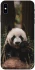 Чехол на Apple iPhone X (5.8") Панда фото 1 из 1