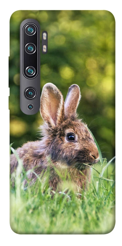 Чохол на Xiaomi Mi Note 10 / Note 10 Pro / Mi CC9 Pro Кролики фото 1 з 1