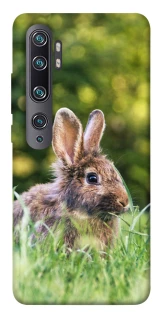 Чехол на Xiaomi Mi Note 10 / Note 10 Pro / Mi CC9 Pro Кролики фото 1 из 1