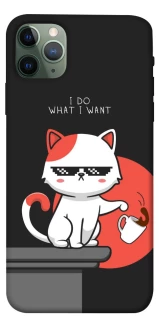 Чохол на Apple iPhone 11 Pro Max (6.5") I do what i wont фото 1 з 1