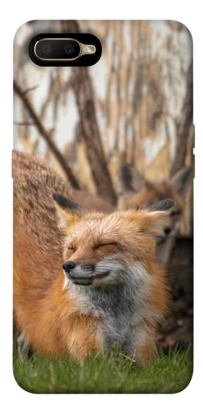 Чохол на OPPO A5 / A3S / AX5 / R15-NEO Лисиця фото 1 з 1