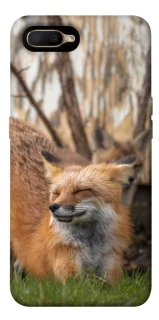Чехол на OPPO A5 / A3S / AX5 / R15-NEO Лиса фото 1 из 1