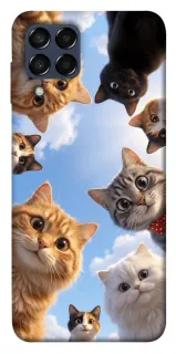 Чехол на Samsung Galaxy M33 5G Cats фото 1 из 1