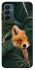 Чохол на Samsung Galaxy M13 4G Fox фото 1 з 1