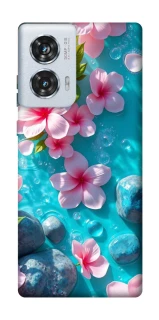 Чохол на Motorola Edge 50 Fusion Flowers v19 фото 1 з 1