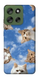 Чехол на Motorola Moto G56 5G Сats фото 1 из 1