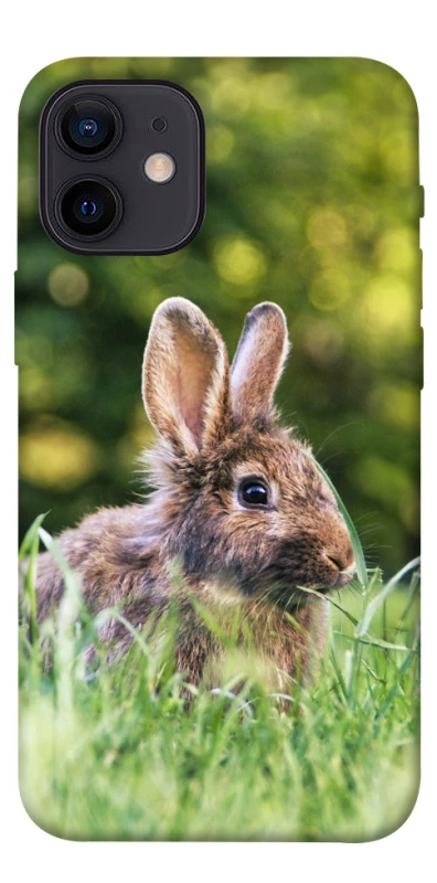 Чехол на Apple iPhone 12 mini (5.4") Кролики фото 1 из 1