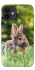 Чехол на Apple iPhone 12 mini (5.4") Кролики фото 1 из 1