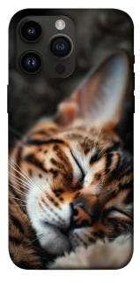 Чехол на Apple iPhone 14 Pro Max (6.7") Cat paws фото 1 из 1