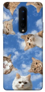 Чехол на OnePlus 8 Сats фото 1 из 1