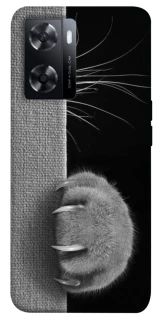 Чохол на Oppo A57s Spy Cat фото 1 з 1