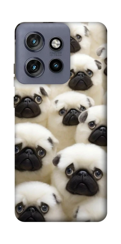 Чохол на Motorola Edge 50 Neo Doggy Pug Love фото 1 з 1