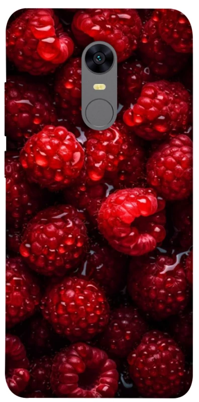 Чохол на Xiaomi Redmi 5 Plus / Redmi Note 5 (Single Camera) Малинка фото 1 з 1