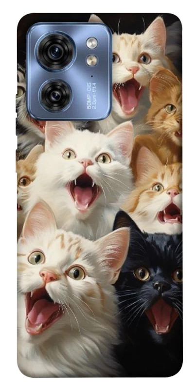 Чехол на Motorola Edge 40 Коты фото 1 из 1