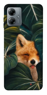 Чохол на Motorola Moto G14 Fox фото 1 з 1