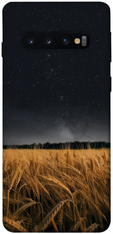 Чохол на Samsung Galaxy S10 grain фото 1 з 1