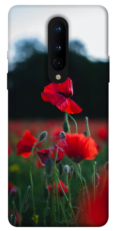 Чохол на OnePlus 8 Мак фото 1 з 1