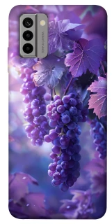 Чехол на Nokia G22 Bunch of grapes фото 1 из 1